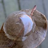 3B500C32-0146-4399-B0EA-D4DB860BC618